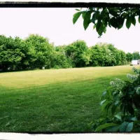 Holtingerveld