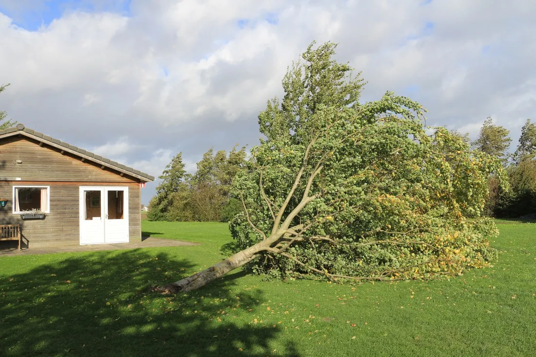 groene-camping-in-de-polder-lage-zwaluwe-4f4od