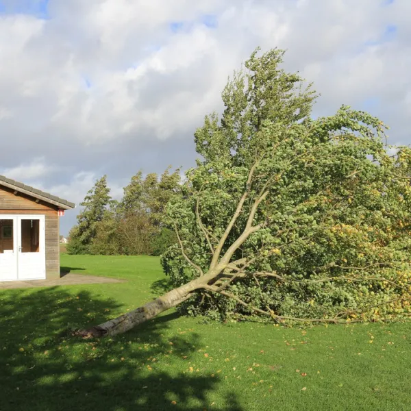 groene-camping-in-de-polder-lage-zwaluwe-4f4od