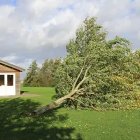 groene-camping-in-de-polder-lage-zwaluwe-4f4od