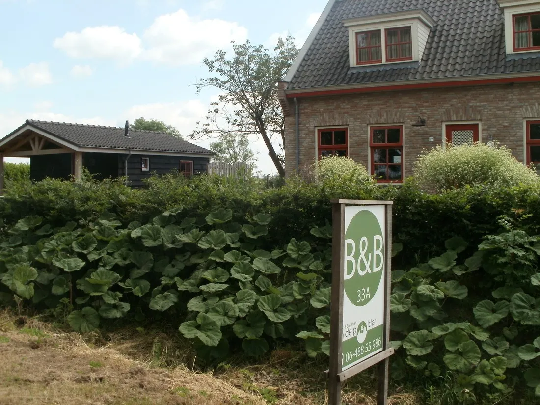 groene-camping-in-de-polder-lage-zwaluwe-8q7ir