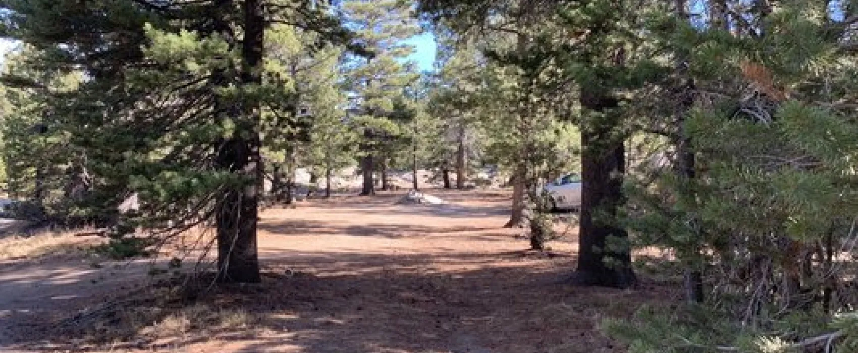 West Fork Carson River Dispersed
