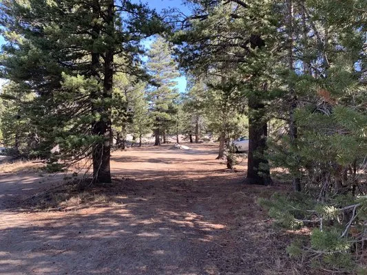 west-fork-carson-river-dispersed-hope-valley-9y6hd