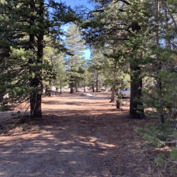west-fork-carson-river-dispersed-hope-valley-9y6hd