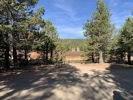 west-fork-carson-river-dispersed-hope-valley-gkrtf
