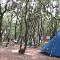 camping-mille-etoiles-labastide-de-virac-3hz2n