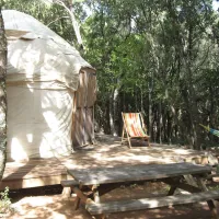 camping-mille-etoiles-labastide-de-virac-kxn8g