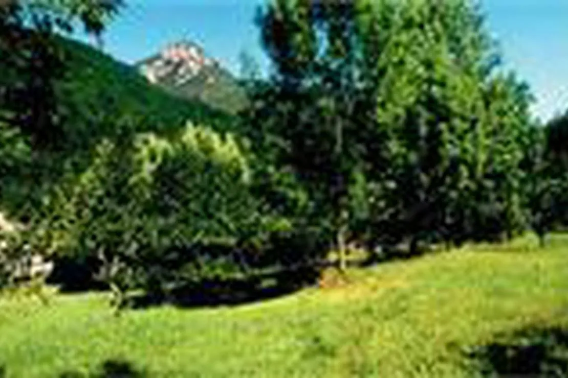 camping-a-la-ferme-la-pomarede-prats-de-mollo-la-preste-xxbeh