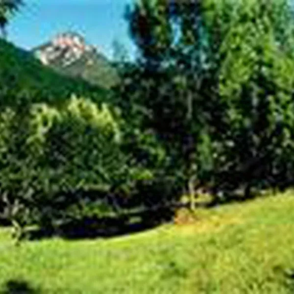 Camping à la Ferme La Pomarède