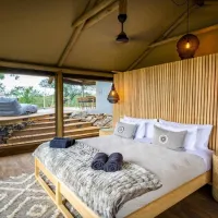 bushveld-bivouac-lekkergoed-farm-r40-wkkvb