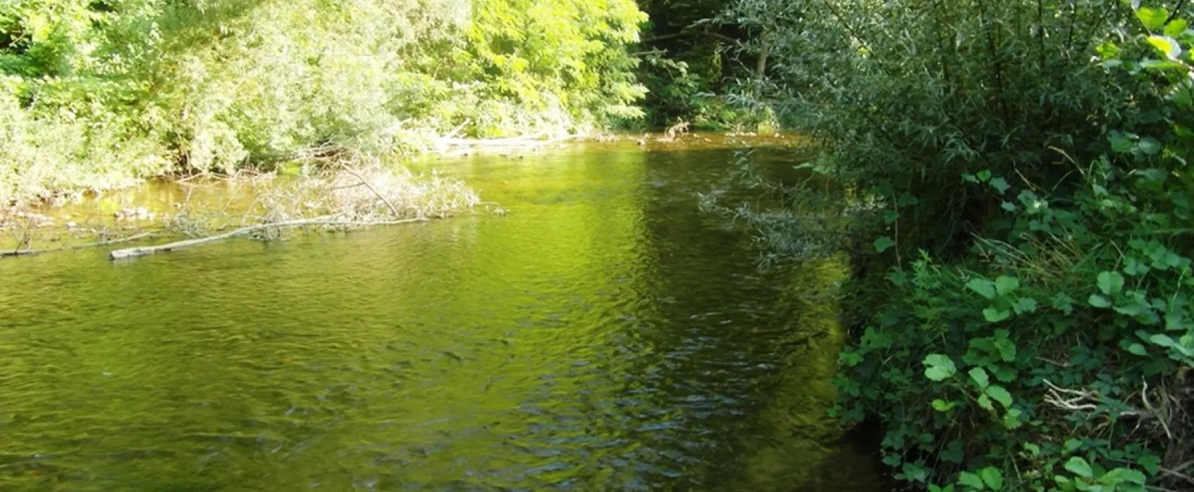 Les Ulèzes