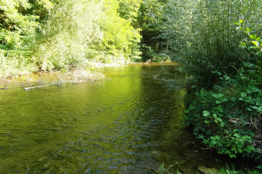 les-ulezes-st-donat-sur-lherbasse-s4fpn