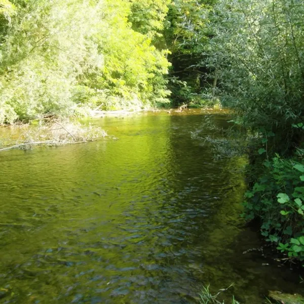 les-ulezes-st-donat-sur-lherbasse-s4fpn