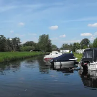 Boschwiede