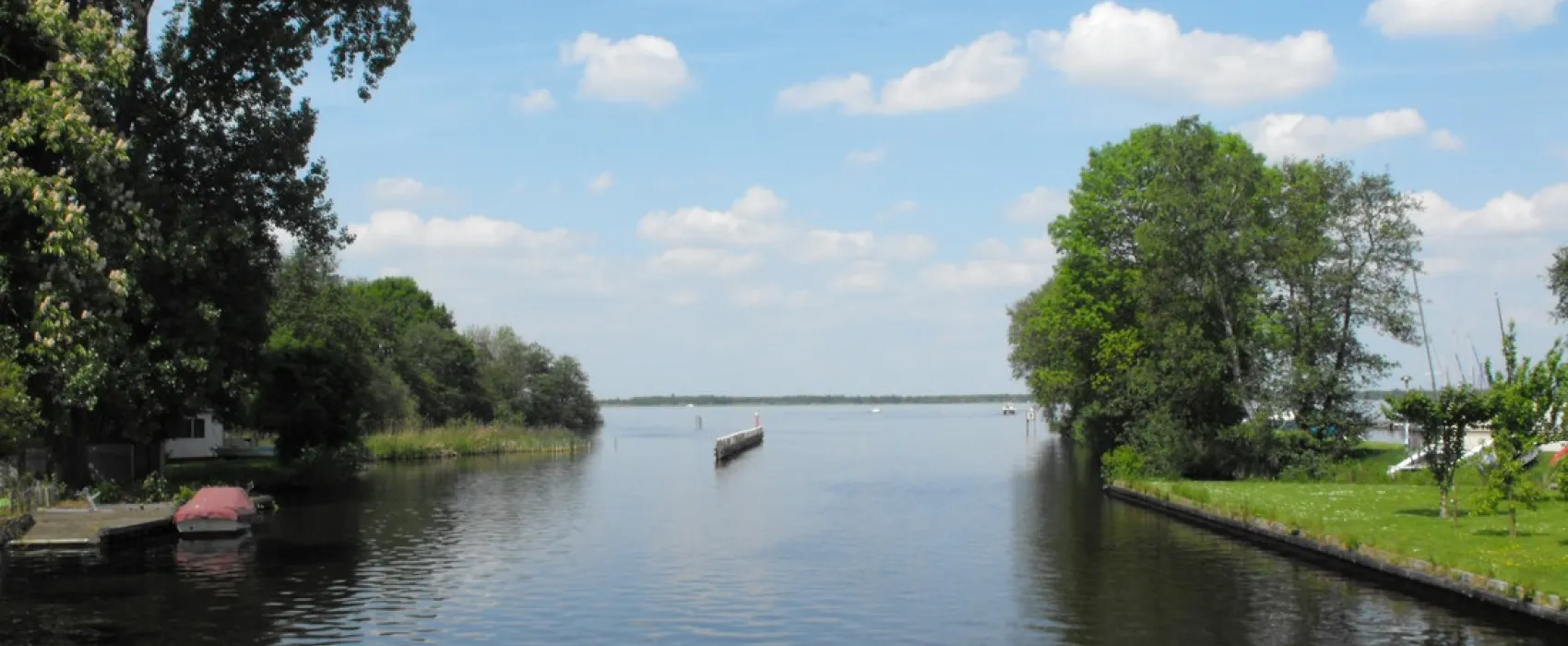 Boschwiede
