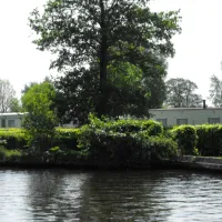 boschwiede-wanneperveen-wuhnz