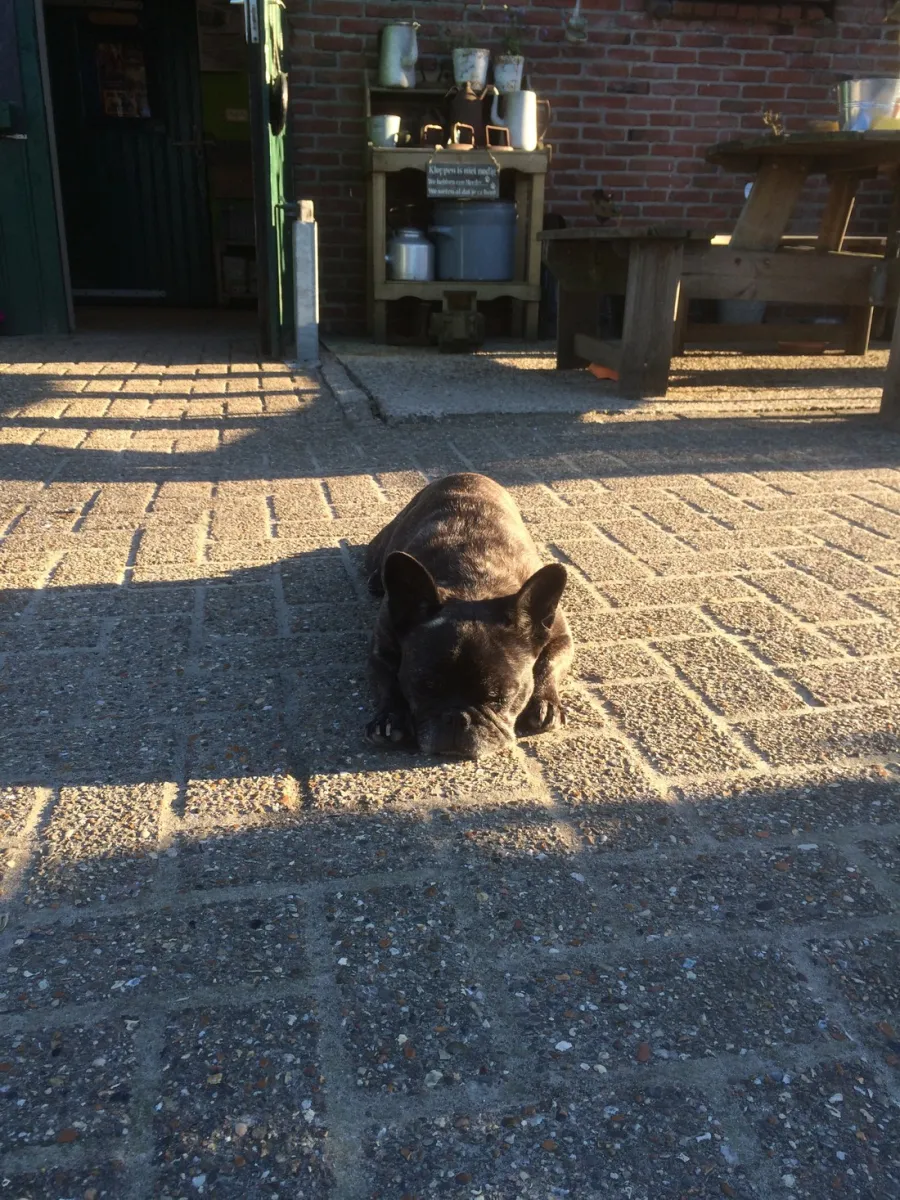 minicamping-de-meet-huijbergen-szrxt
