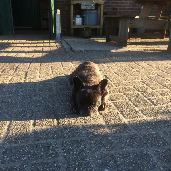 minicamping-de-meet-huijbergen-szrxt