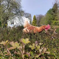 thornfield-camping-cabins-carlisle-alczu