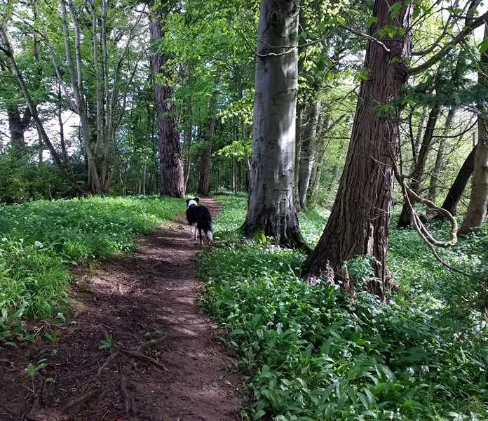 thornfield-camping-cabins-carlisle-kl5mz