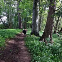 thornfield-camping-cabins-carlisle-kl5mz