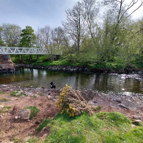 thornfield-camping-cabins-carlisle-plchi