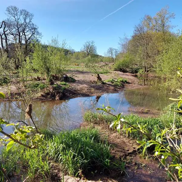 thornfield-camping-cabins-carlisle-r3h56