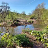 thornfield-camping-cabins-carlisle-r3h56