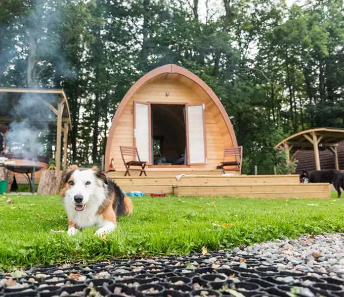 thornfield-camping-cabins-carlisle-t4fex