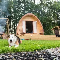 thornfield-camping-cabins-carlisle-t4fex