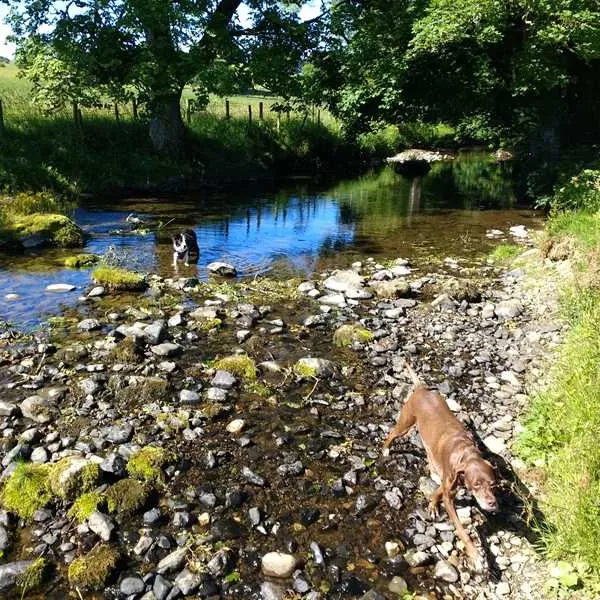 thornfield-camping-cabins-carlisle-xcbbo