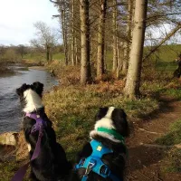 thornfield-camping-cabins-carlisle-znfct