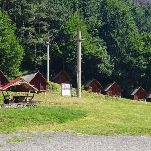 dracula-camping-capatineni-yztmy