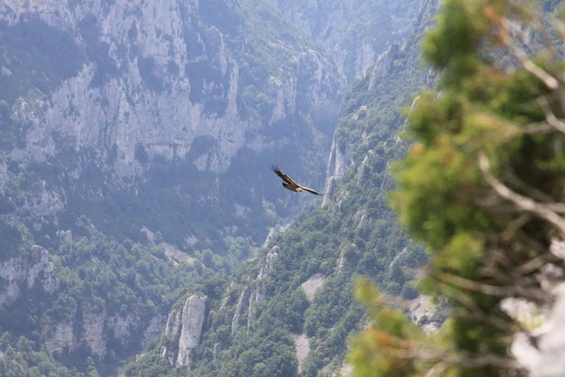 chasteuil-provence-castellane-0oaws