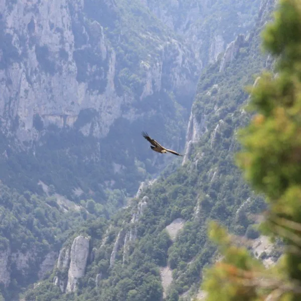 chasteuil-provence-castellane-0oaws