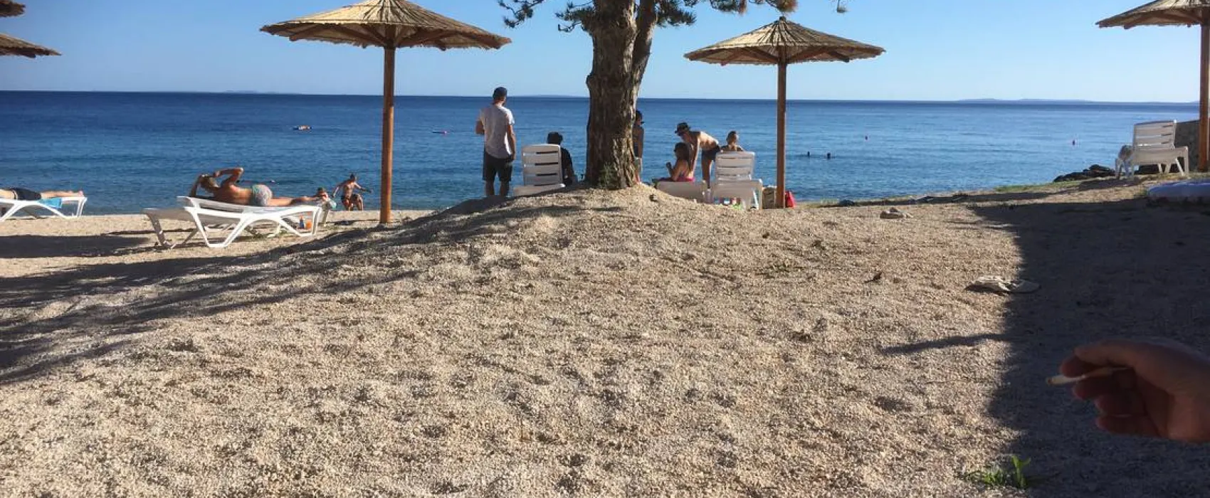 Olea Camping