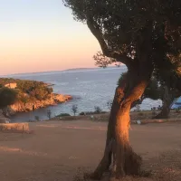 olea-camping-novalja-cjjrm