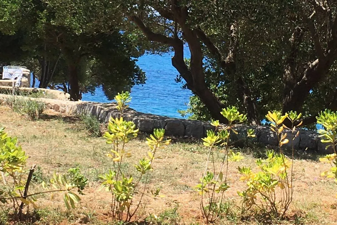 olea-camping-novalja-ctwtq