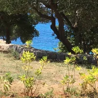 olea-camping-novalja-ctwtq
