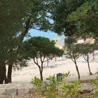 olea-camping-novalja-htj06