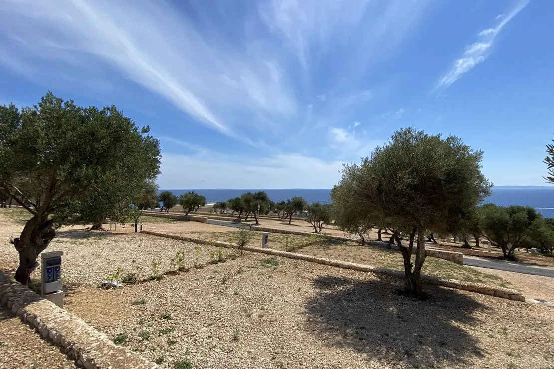 olea-camping-novalja-inlhk