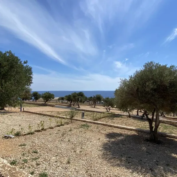olea-camping-novalja-inlhk