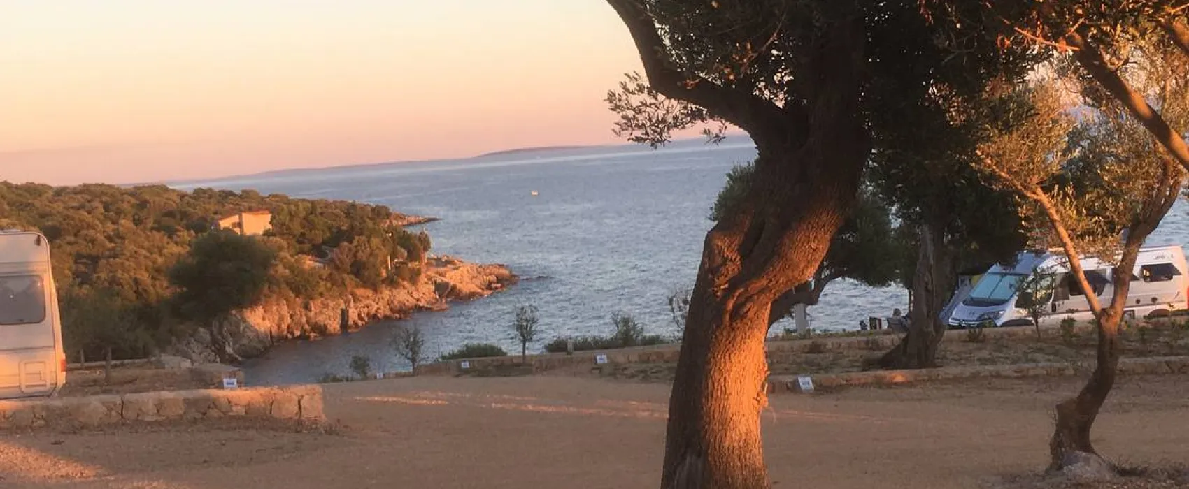 Olea Camping