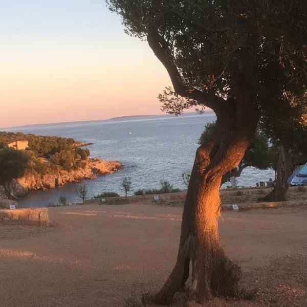 olea-camping-novalja-lhin1