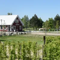campingplatz-am-mondsee-hohenmolsen-3rp9y