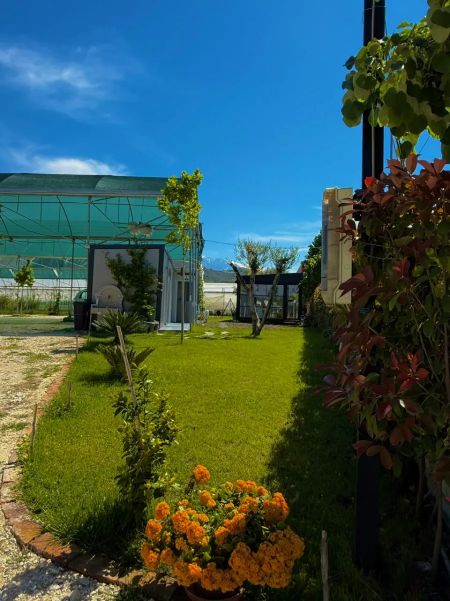 WhatsApp Image 2026-04-28 at 1.13.59 PM (2)