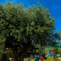 Agro Camping Harmony