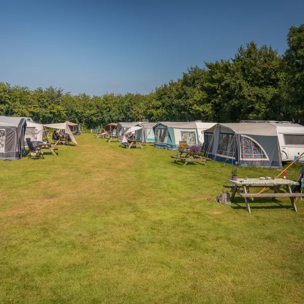 de-hoge-kamp-texel-kwomi