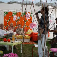 nossemarks-camping-nossemark-1mgxt