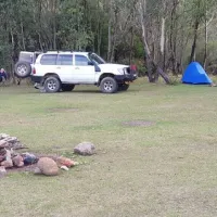 tom-groggin-campground-murray-gorge-a4nxl
